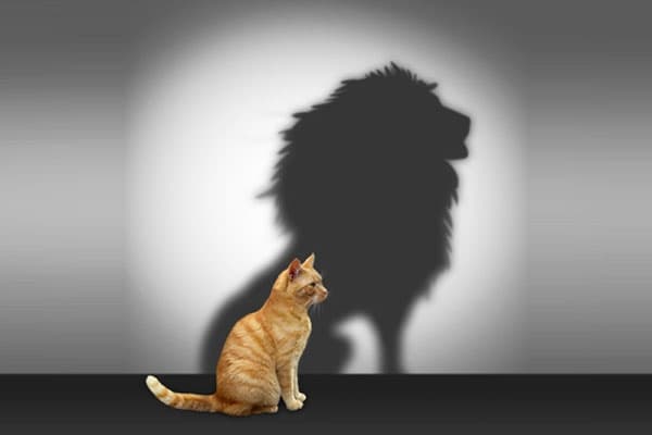 Özgüven Geliştirme Rehberi görseli